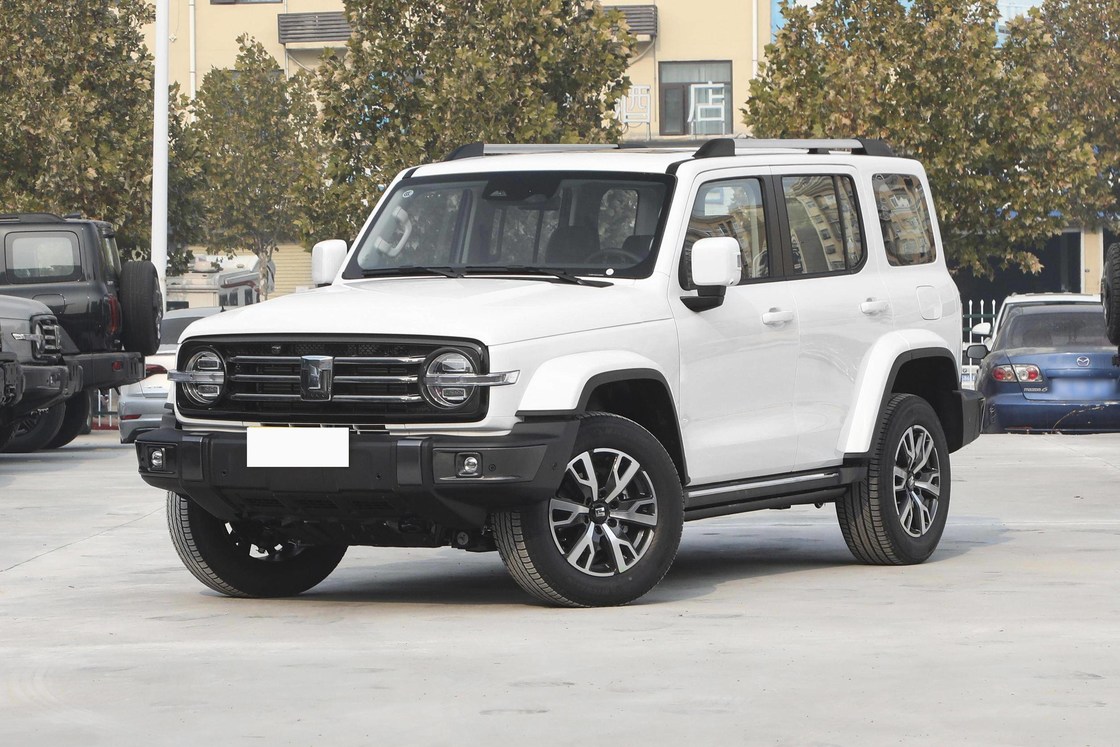  300 5-Door Fuel Powered Car Width 1930mm